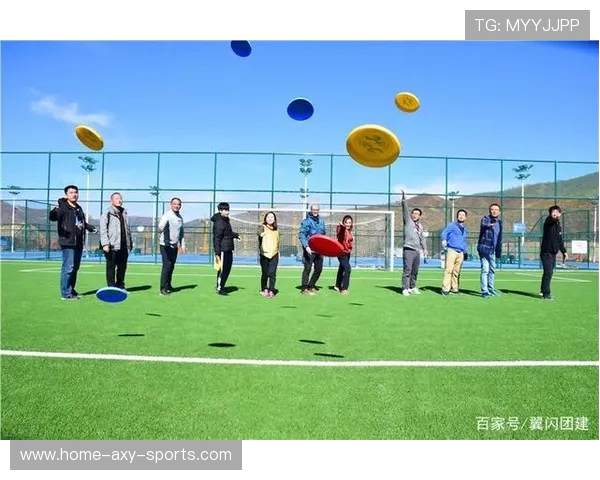 飞盘战术揭秘：深入分析上海飞盘队的包夹策略与技巧